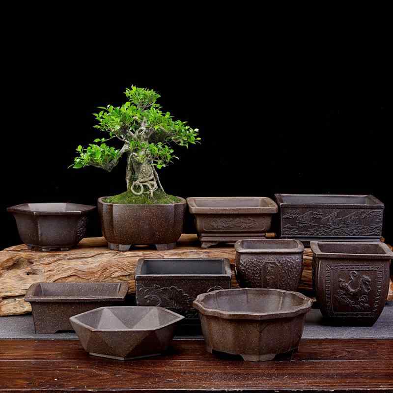 ミニ 盆栽鉢 小さい」の人気商品一覧 | 安い商品を通販サイトから探す