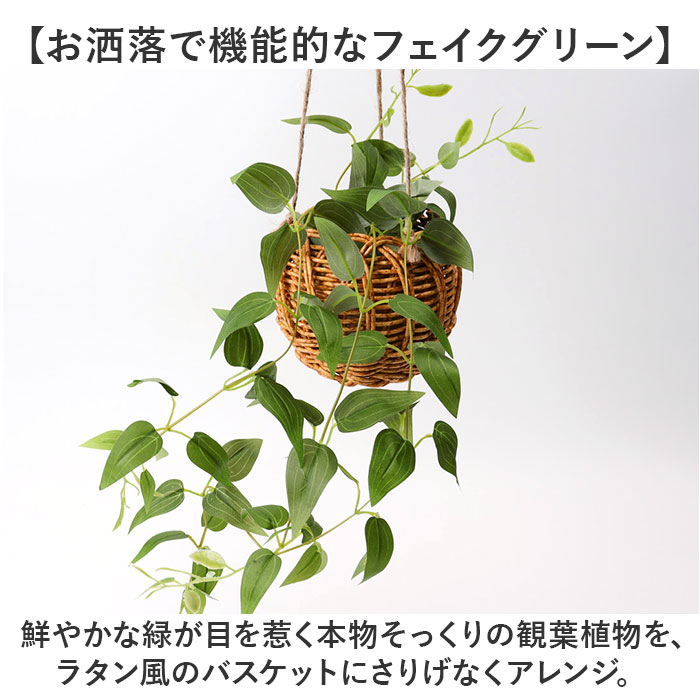 楽天市場】光触媒 フェイクグリーン 通販 観葉植物 人工観葉植物