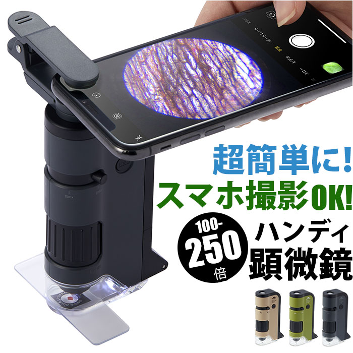 楽天市場】顕微鏡 子供 通販 ハンディ顕微鏡 DX レイメイ藤井 RXT1144