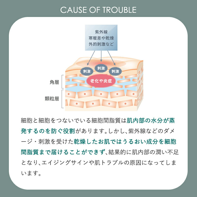 楽天市場】【正規販売店】 マリアギャラン クリーム 262 【マリア