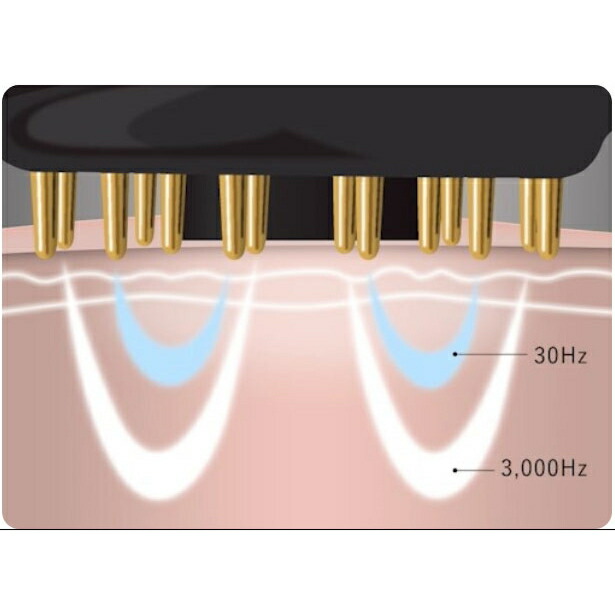 楽天市場】【送料無料】ルルドフェイスメイク プラズマエステブラシ AX
