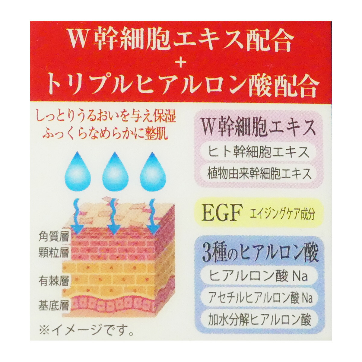 楽天市場】ヒト幹細胞 保湿 クリーム 50g ヒト幹細胞培養エキス配合