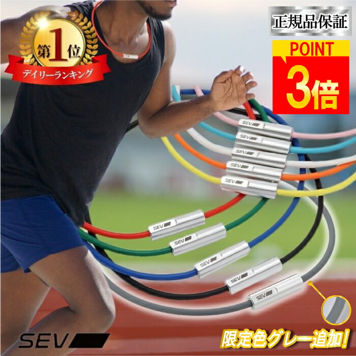 楽天市場】【ポイント3倍！楽天1位！レビューで延長保証+6ヶ月！】 SEV