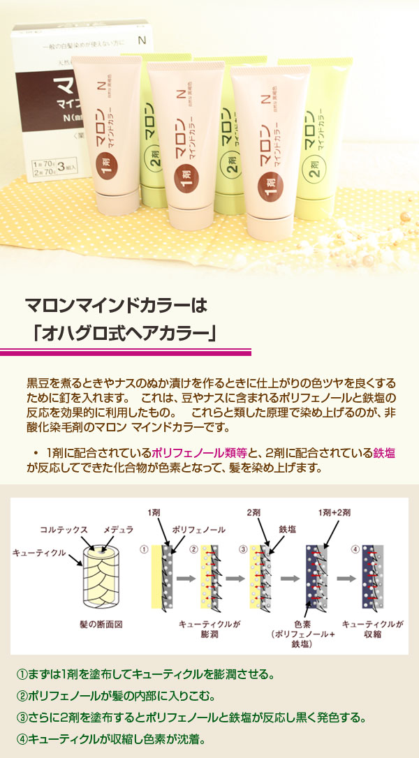 楽天市場】【あす楽】マロンマインドカラー 業務用 1剤（70g）2剤（70g