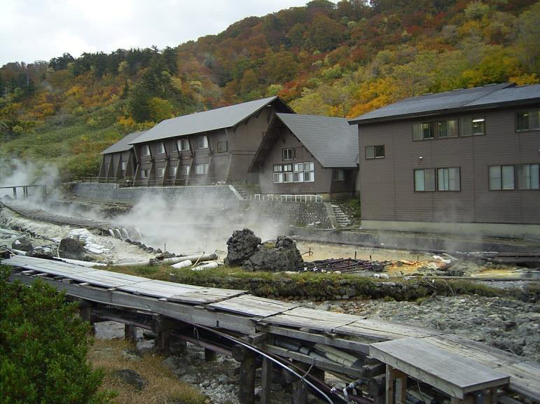 楽天市場】玉川の湯 「癒」 標準判 家庭用入浴健康器具 玉川温泉をご