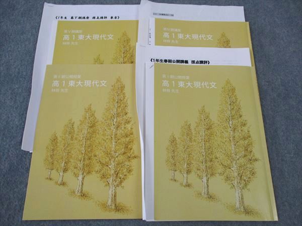 楽天市場】東進 高1 公開授業 東大現代文 東京大学 東大特進コース 林