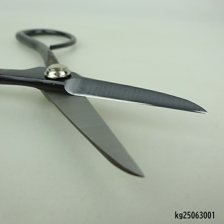 楽天市場】盆栽はさみ 剪定ばさみ 盆栽 道具 全長 約 16cm 兼進 小枝切