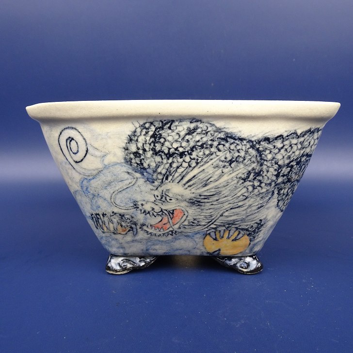 楽天市場】盆栽鉢 紀伊 小型 長辺 約11.5cm 正方鉢 外縁 雲足 色絵 龍