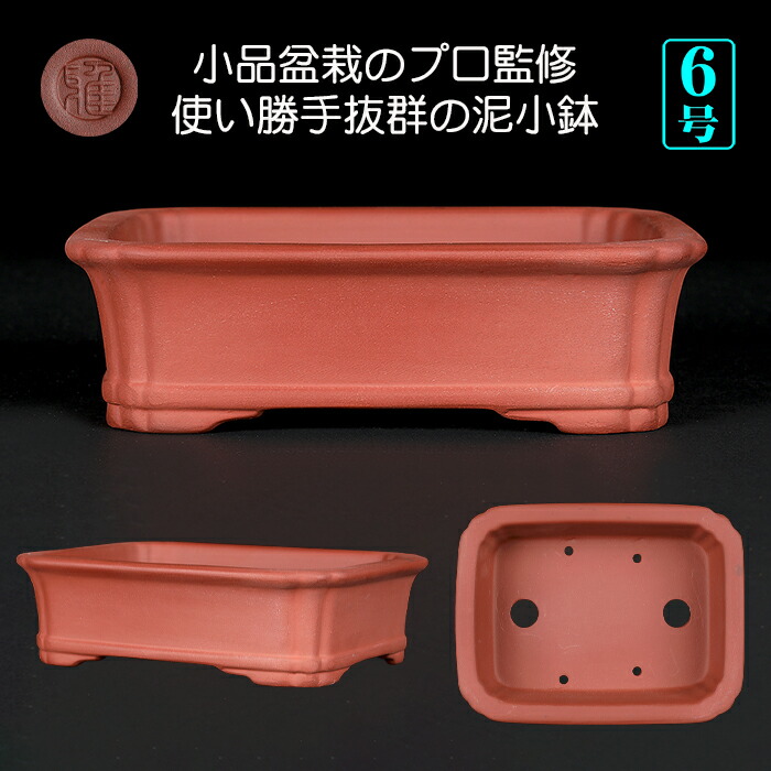 盆栽 小品盆栽 盆栽鉢」の人気商品一覧 | 安い商品を通販サイトから