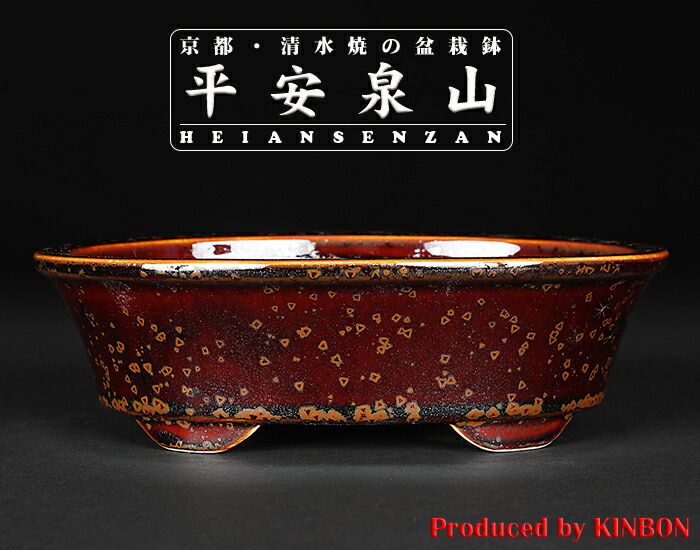 楽天市場】盆栽 鉢 楕円の通販