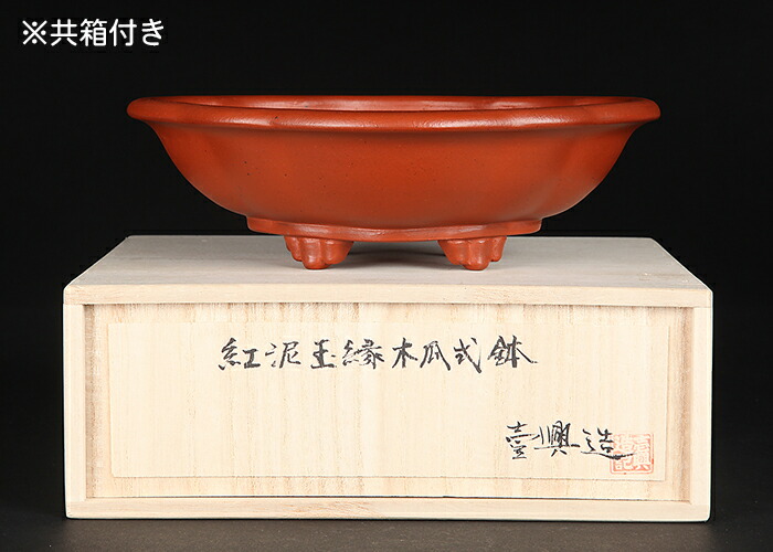 楽天市場】盆栽鉢 「壱興紅泥木瓜式鉢」 植木鉢 作家鉢 一弘 壱興造記