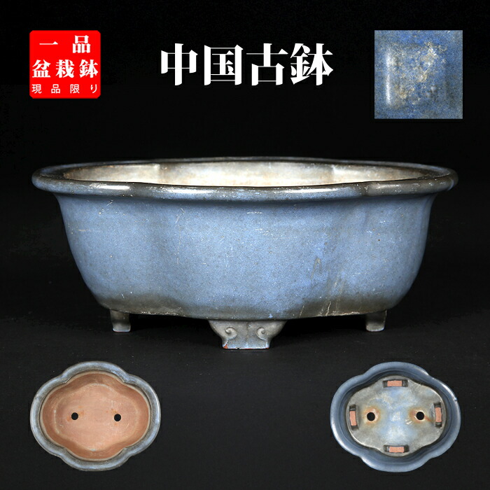 中国古渡 【宜興松亭自造】 盆栽鉢/植木鉢/平鉢/水盤 紫泥胴紐丸鉢〔宜興松亭自造〕 盆栽鉢 鉢 植木鉢 bonsaipot pot 中国鉢