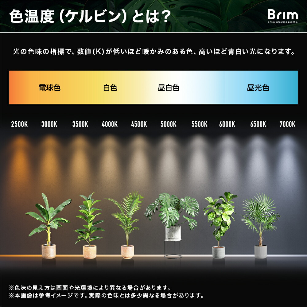 楽天市場】BRIM(ブリム) 公式店 楽天ランキング1位獲得【2枚セット