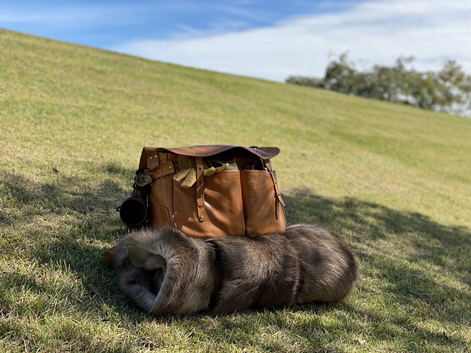 楽天市場】中サイズ/大サイズ/特大サイズ【フィンランド ラップランド