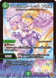 楽天市場】チアスカーレット アカネの通販