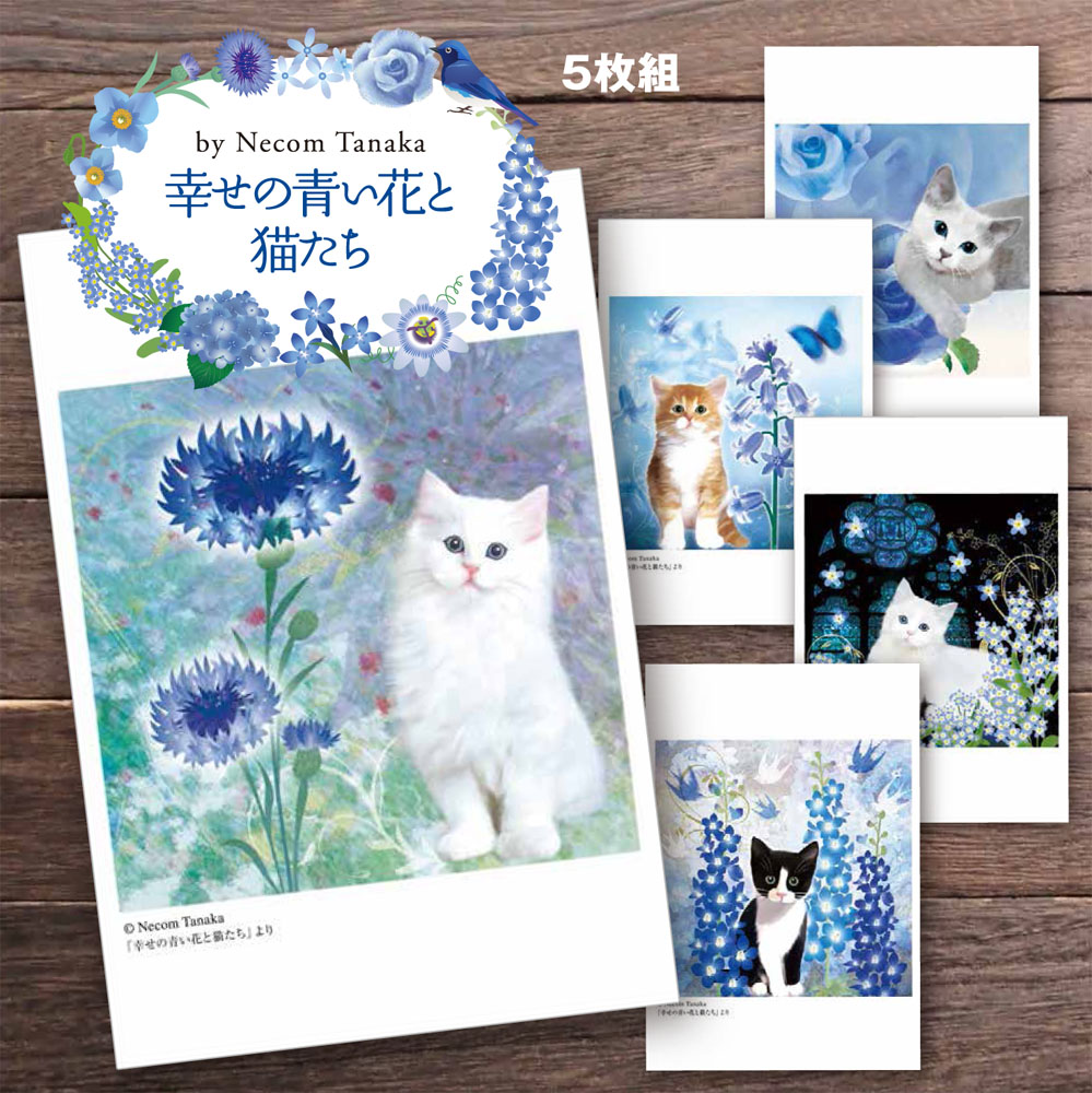 楽天市場】猫夢ポストカードセット5枚組 （幸せの青い花と猫たち）【猫