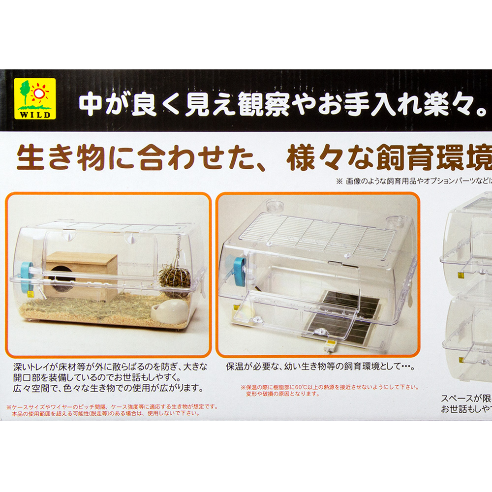 楽天市場】【3／1限定】当選確率2分の1！1等最大100