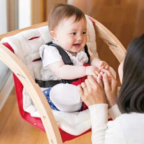 楽天市場】||公式販売店||ファルスカ farska マルチクッション