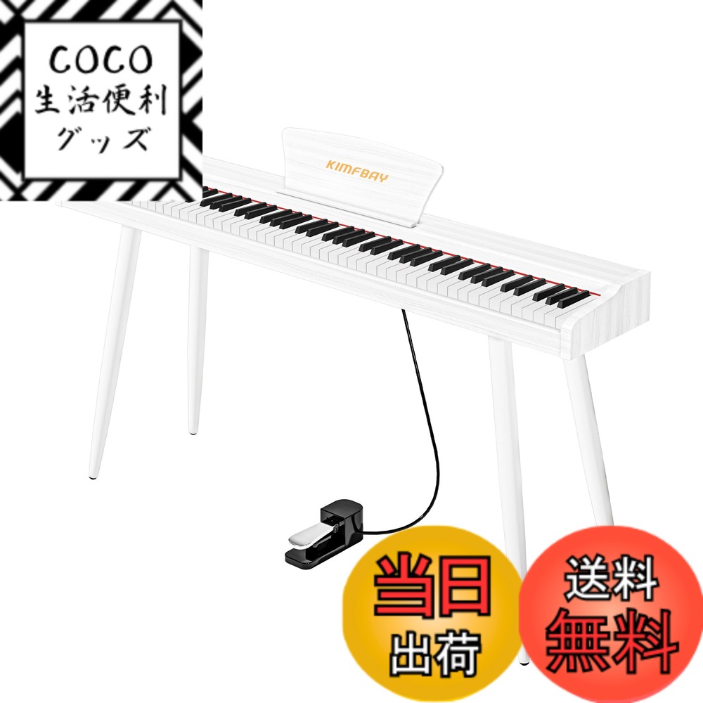 kimfbay」の人気商品一覧 | 安い商品を通販サイトから探す - 価格.com