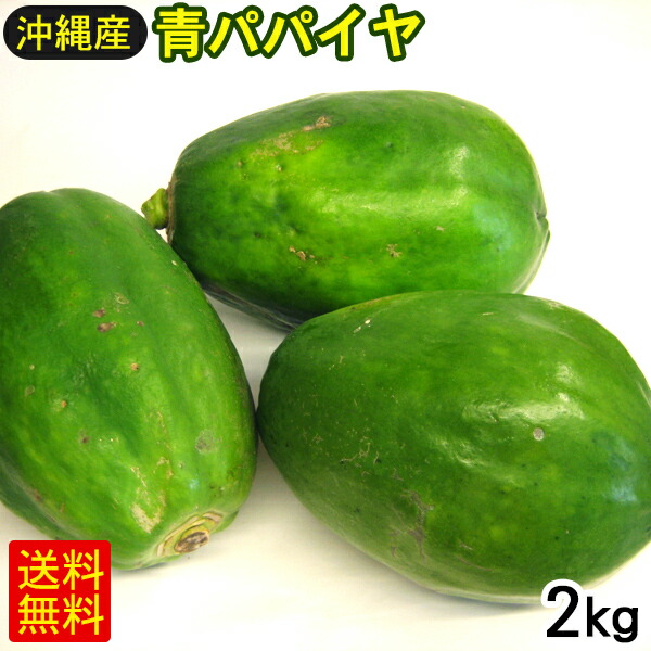 楽天市場】沖縄産 青パパイヤ 約2kg（2〜6玉） 【FS】 : 沖縄お土産