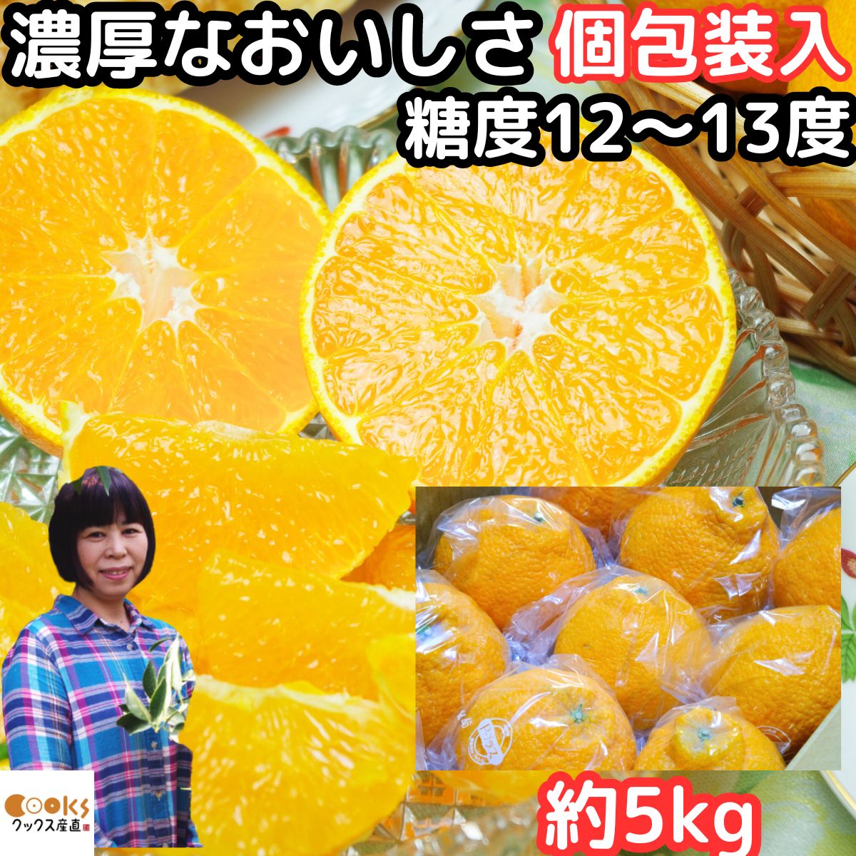 楽天市場】デコポン 家庭用の通販