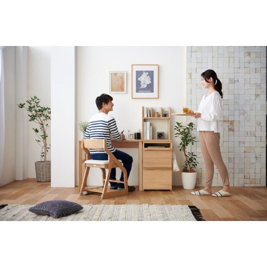 楽天市場】[最大400円OFFクーポン配布中] 【購入者特典付】コイズミ