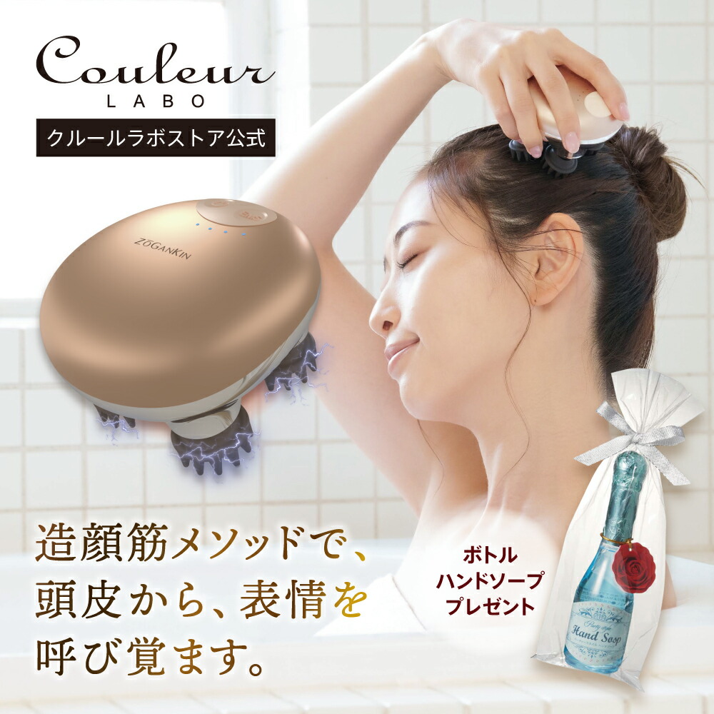 楽天市場】【クルールラボ公式】ZOGANKIN スカルプ CL-ZKS（1年保証