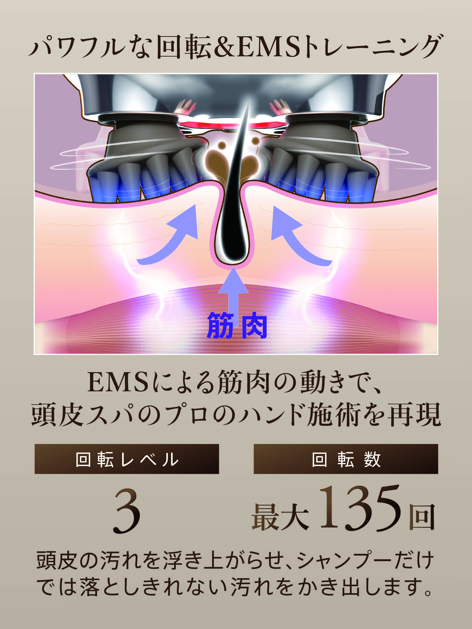 楽天市場】【クルールラボ公式】ZOGANKIN SCALP 限定カラー