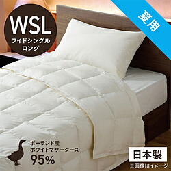 掛け布団 ポーランド産ホワイトマザーグースダウン95」の人気商品一覧