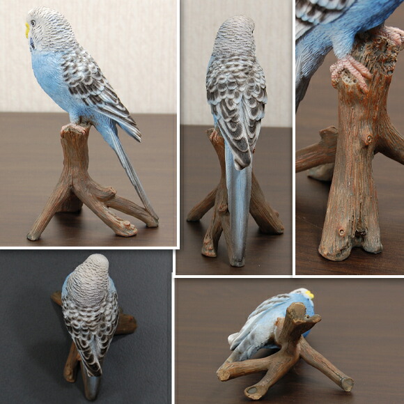 楽天市場】Parakeet Blue かわいいセキセイインコの置物 ブルー 本物の