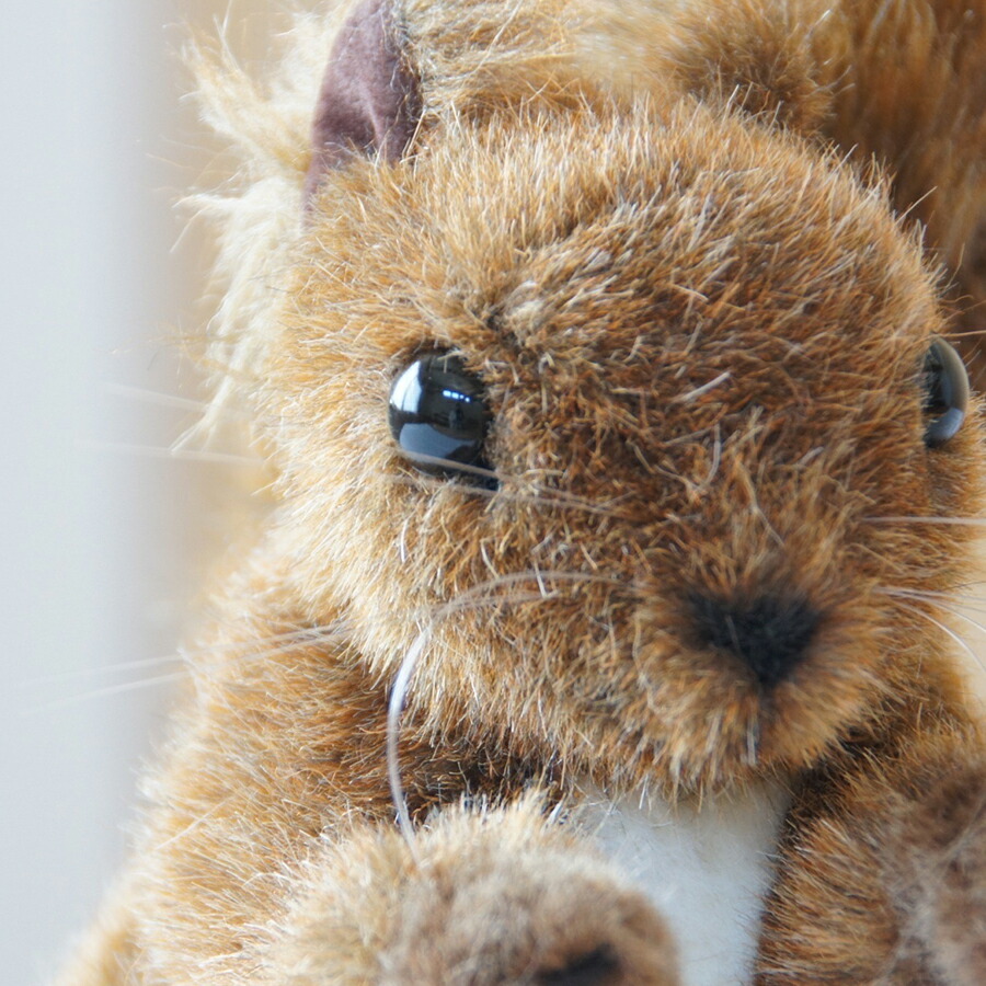 楽天市場】【在庫あり】Kosen ケーセン ドイツ製 ぬいぐるみ りす