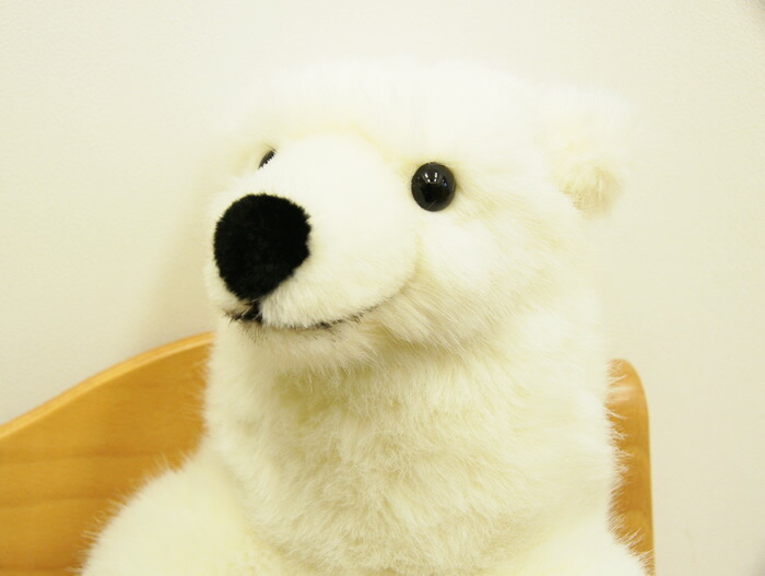 楽天市場】【在庫あり】Kosen ケーセン ドイツ製 ぬいぐるみ ソフト