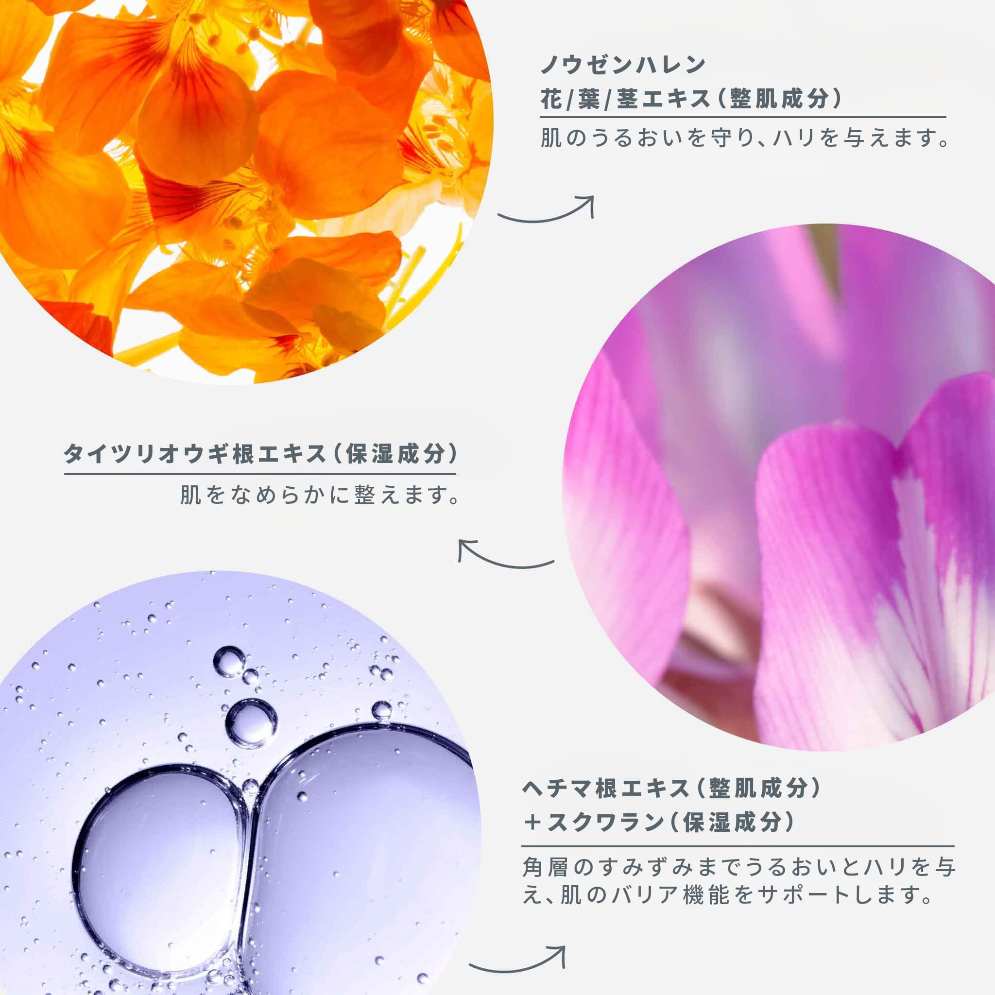 楽天市場】【公式】フィト N OXG クリーム 50mL ダーマロジカ