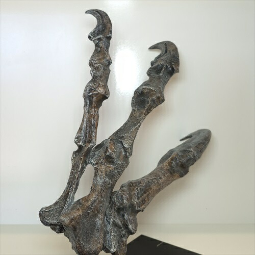 楽天市場】【送料無料】【アロサウルス /恐竜/化石】 アロサウルス 爪