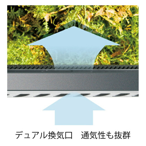 楽天市場】GEX エキゾテラ グラステラリウム 6045 爬虫類用 飼育ケージ