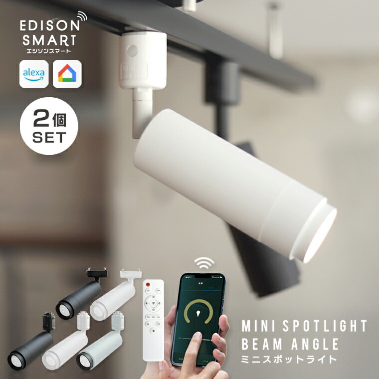楽天市場】2個セット ダクトレール ライト エジソンスマート ミニ