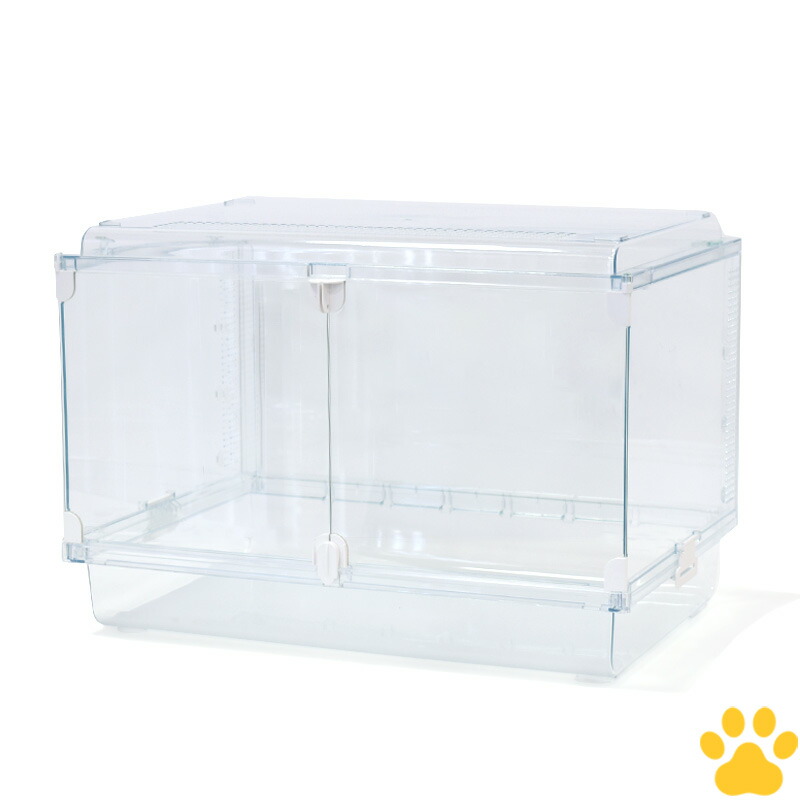 グラスハーモニー 600」の人気商品一覧 | 安い商品を通販サイトから