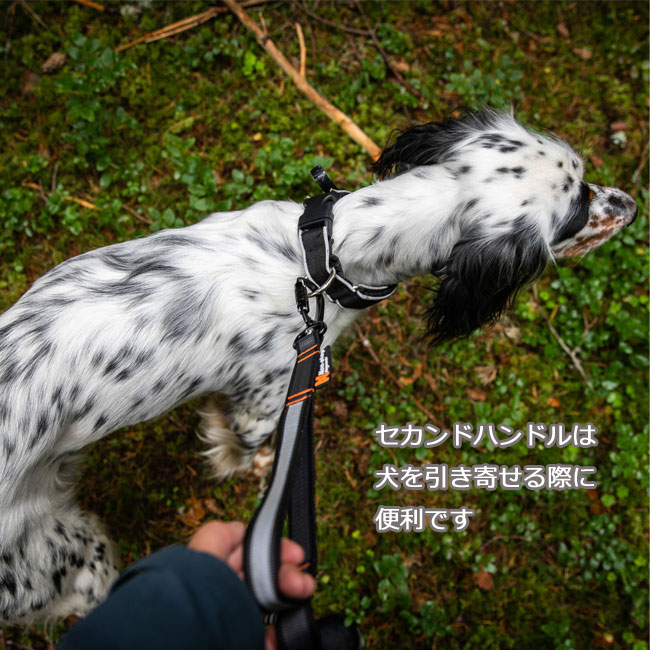 楽天市場】Non-stop ノンストップ ツーリングバンジーアジャスタブル