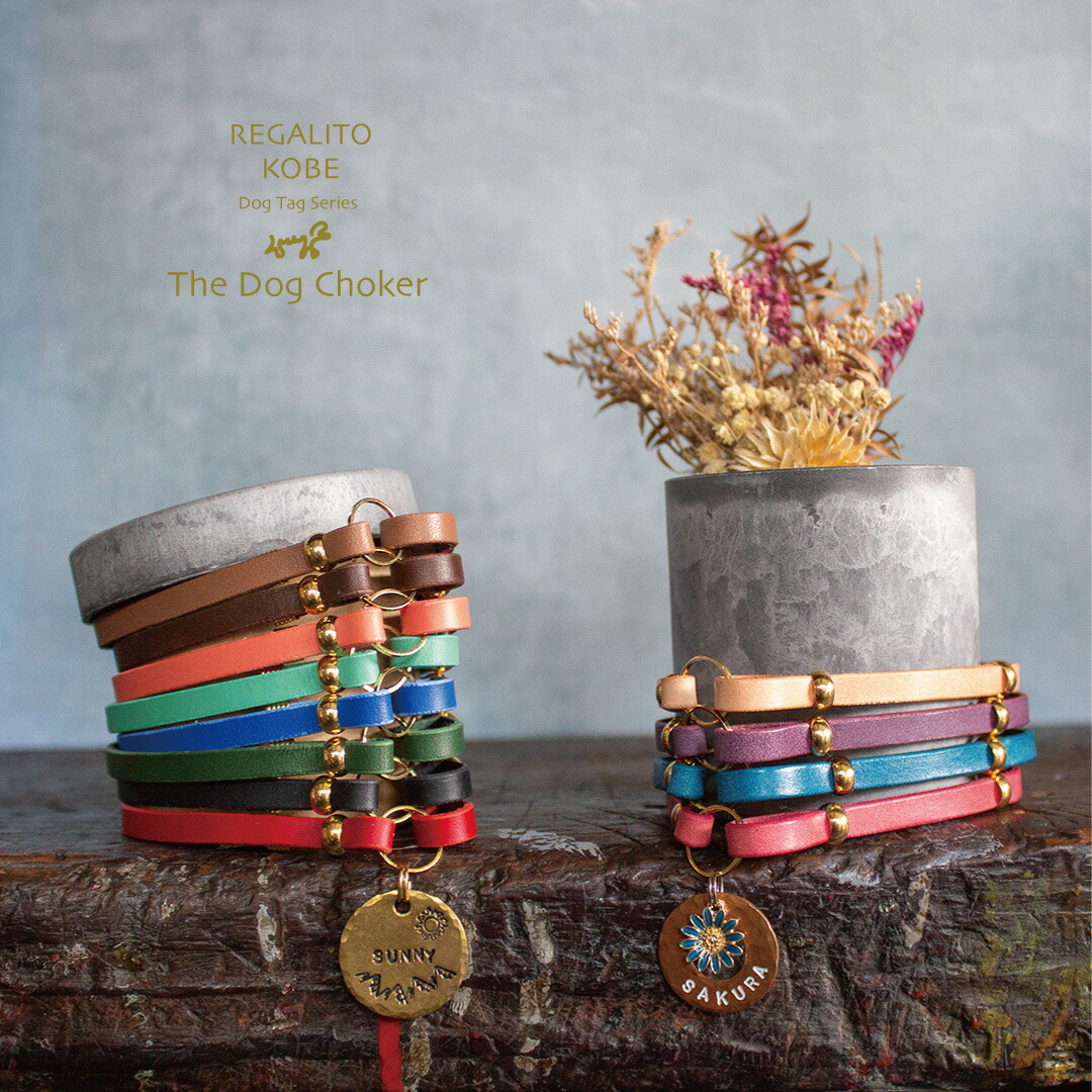 楽天市場】チョーカー 犬 猫 迷子札 名札 名前 名入れ ネームタグ