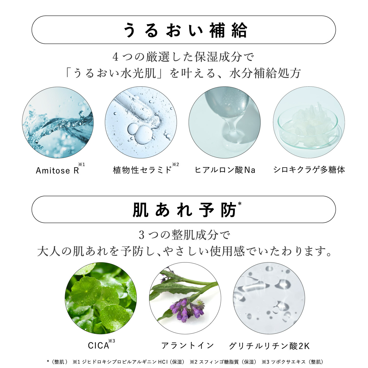 楽天市場】【公式】V.C. コンセントレートマスク N / dr365 ドクター