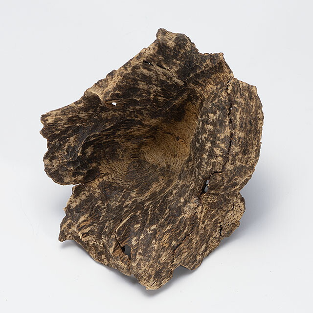 極上沈香・沈梗(じんきょう)刻み○5g