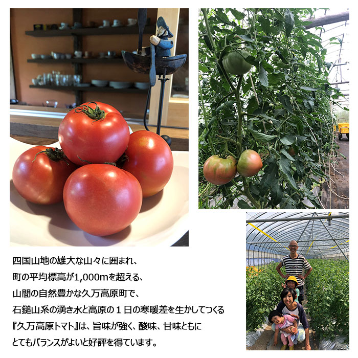 楽天市場】升田農園 久万高原町とまとの濃厚ドライトマト&濃厚ドライ