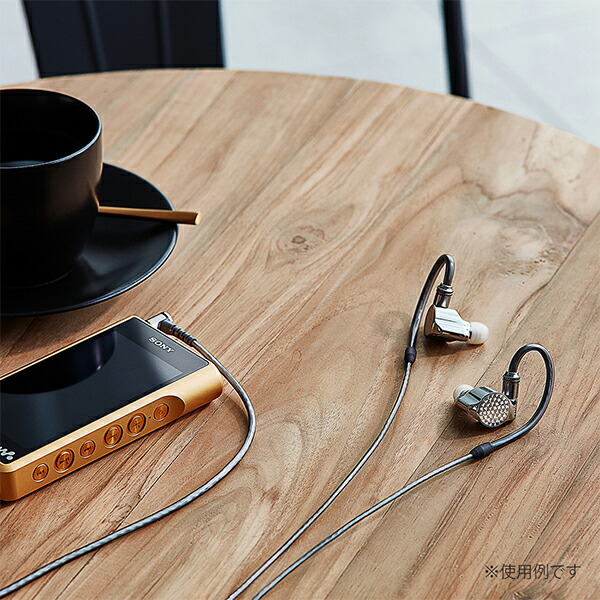 楽天市場】(在庫限り)SONY IER-Z1R ソニー 有線イヤホン 高音質