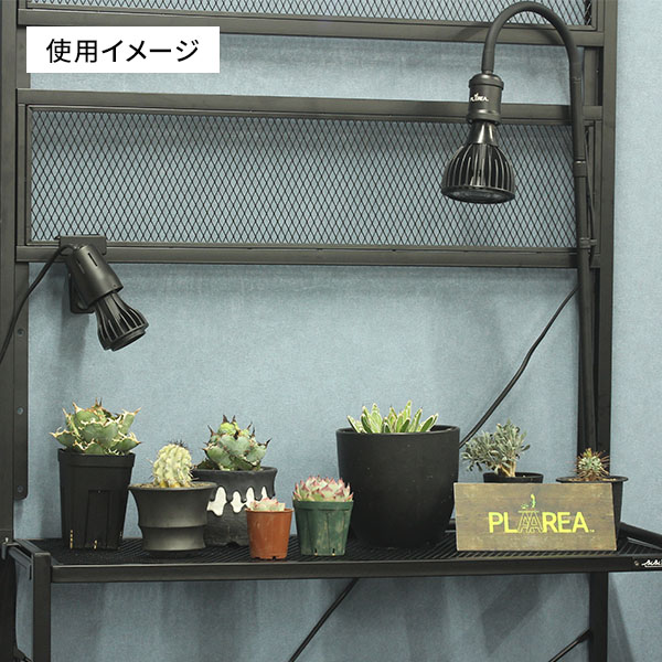 楽天市場】植物育成ライト EVERSUN365 24W クリップ/スタンド/ライト