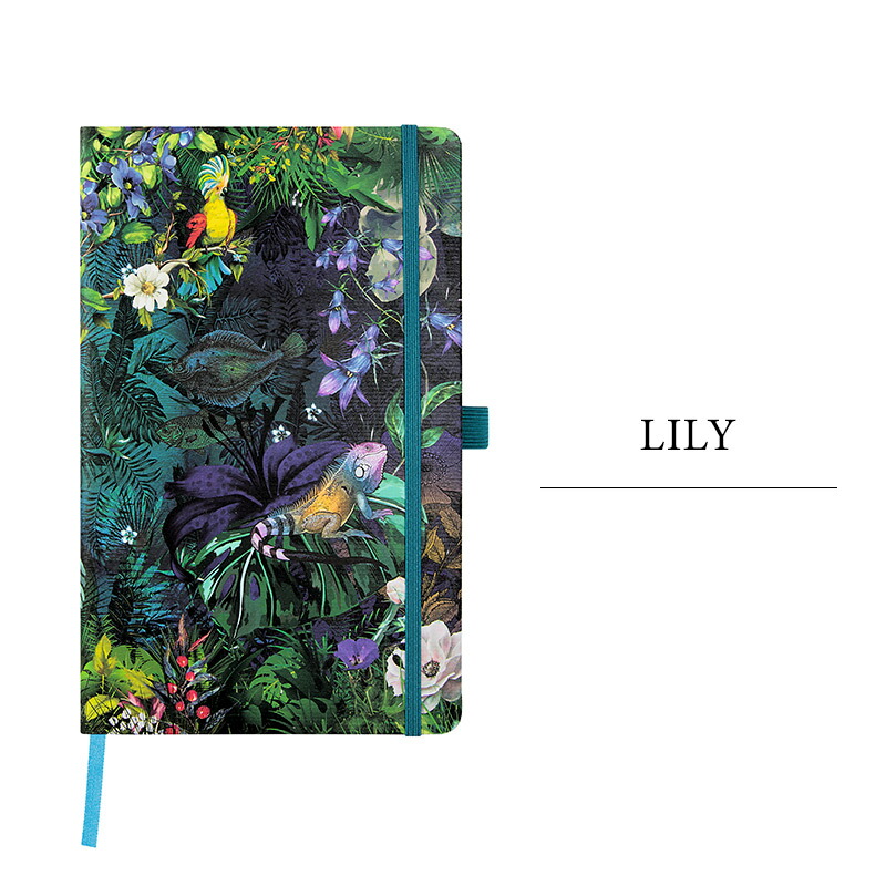 楽天市場】【メール便可 2冊まで】カステリ ミラノエデン ノートM 7mm