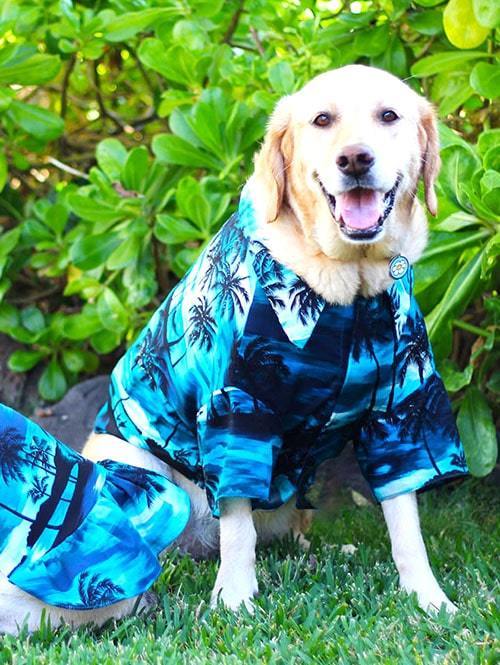 楽天市場】DOG Wear Robert J Clancey Aloha Shirt ロバート・ジェイ