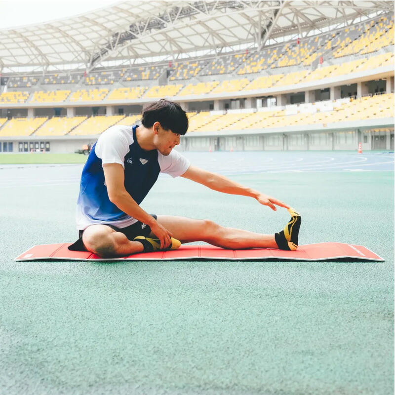 楽天市場】ニシ・スポーツ エクサマット NE-10 トレーニング