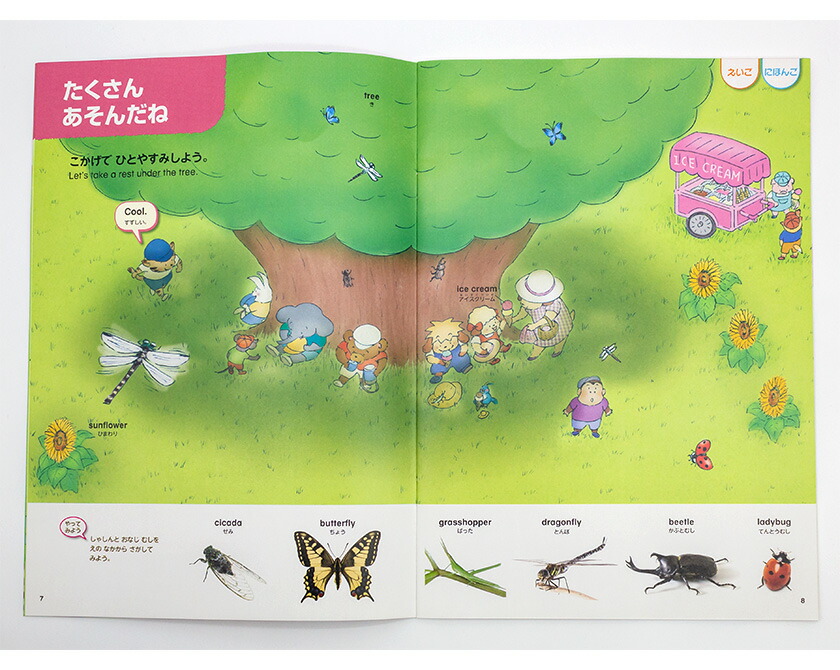 楽天市場】英語 タッチペン ポピー Kids English レベル1 / 1年間