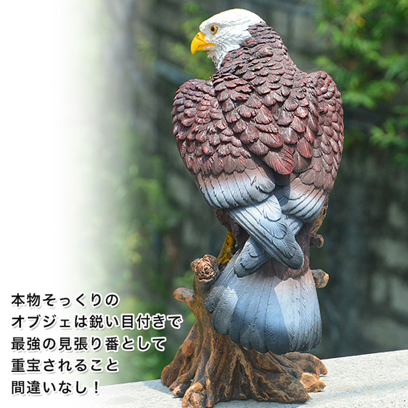 楽天市場】【最大3％OFF】 リアル鷹のオブジェ 【2種類からご選択