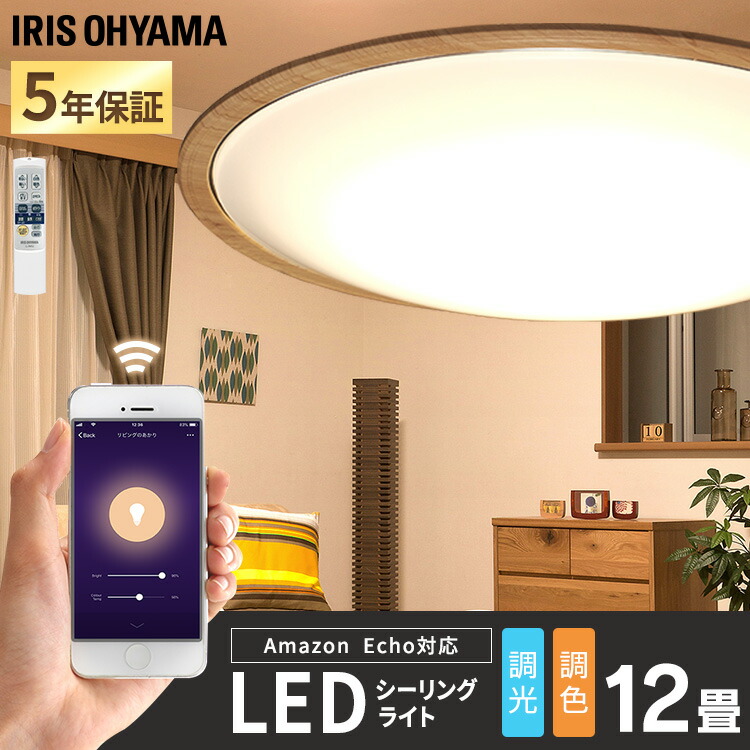 楽天市場】[150円OFFクーポン/くらしにプラス] ACKシーリングライト 12